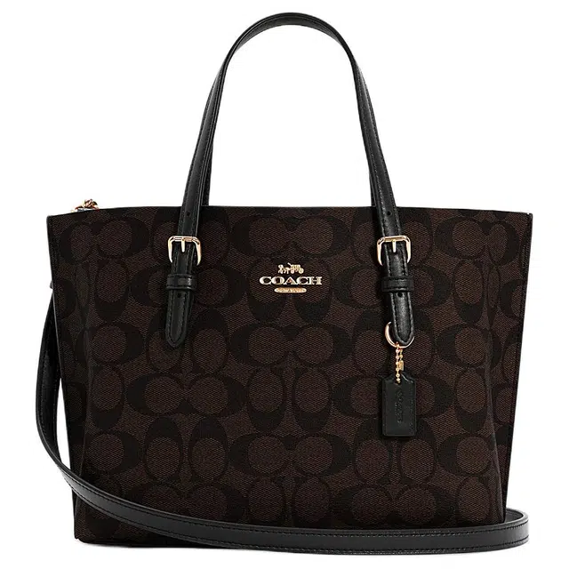 COACH Mollie 25 Tote