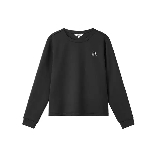 AIGLE T