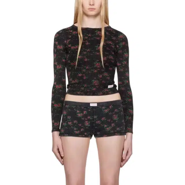 alexander wang T