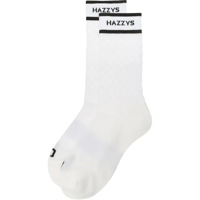 HAZZYS 1