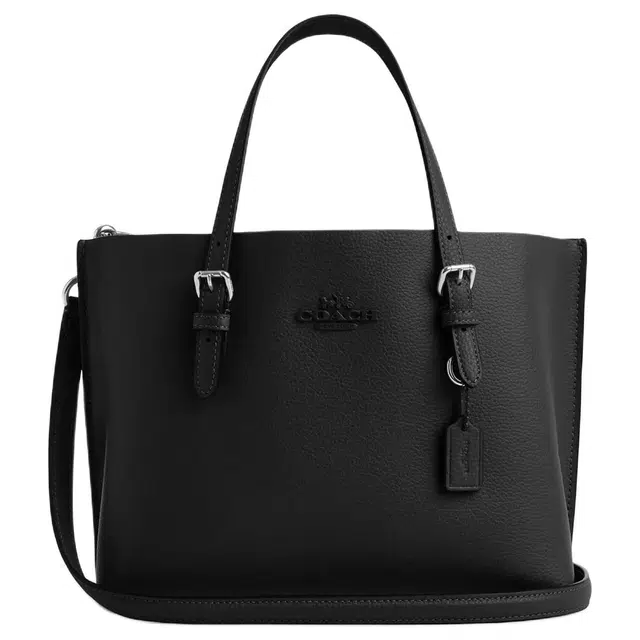 COACH Mollie 25 Tote