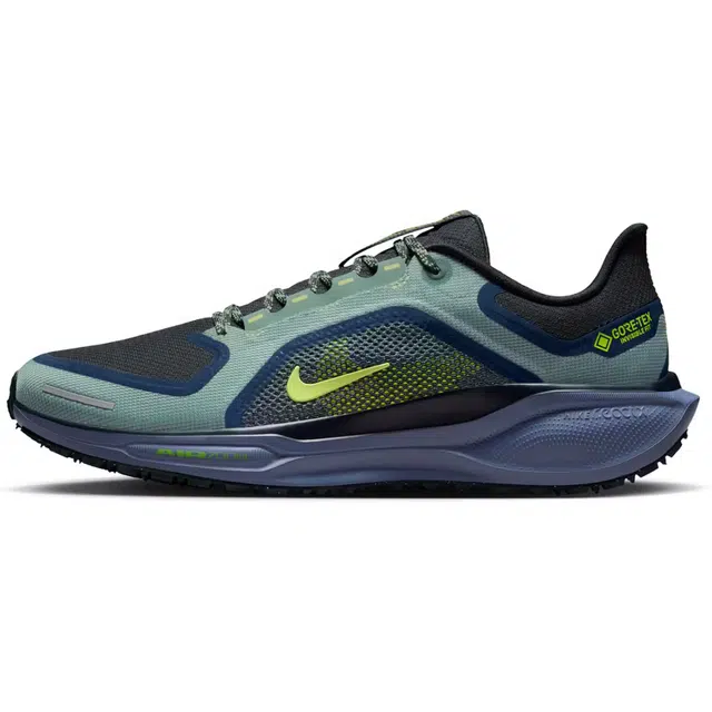 Nike Air Zoom Pegasus 41 Gore-Tex