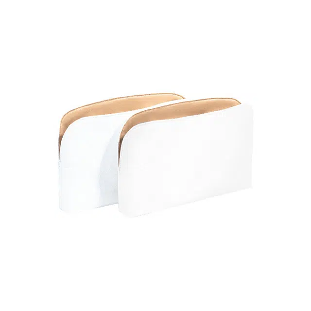 FANJI Lvmini 2025
