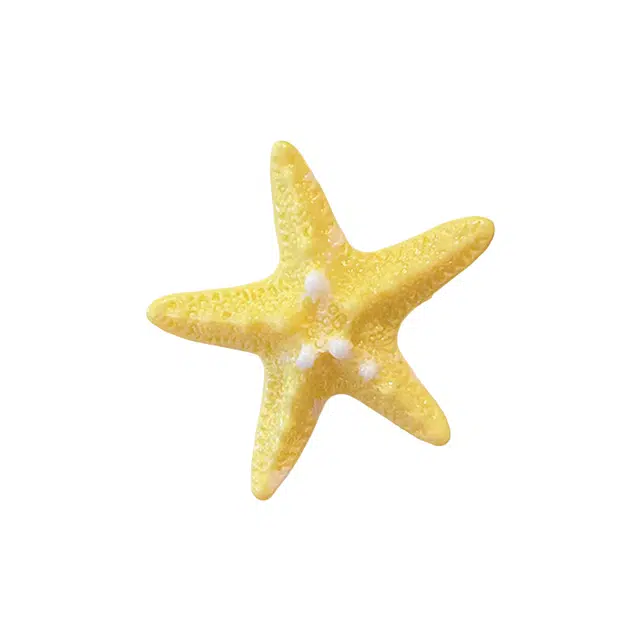 蒙妮 甜美仿真海星小清新鸭嘴夹 亚克力/合金 发夹 女款