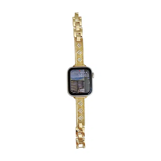 applewatch9876se54
