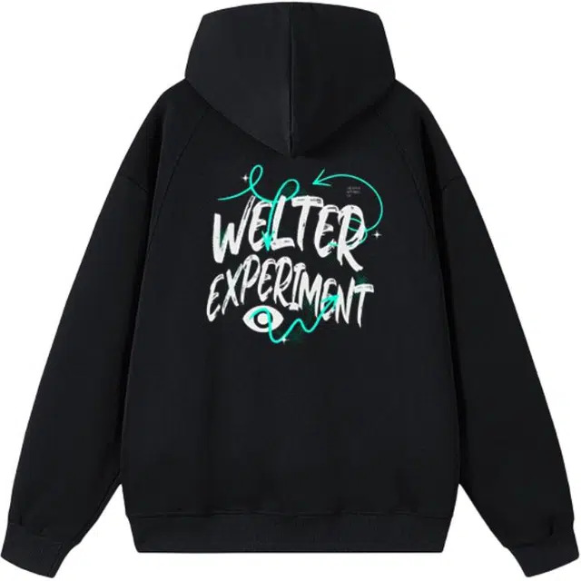 WELTER EXPERIMENT logo