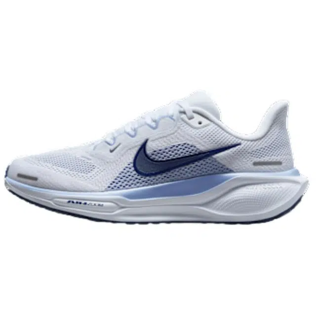 Nike Pegasus 41