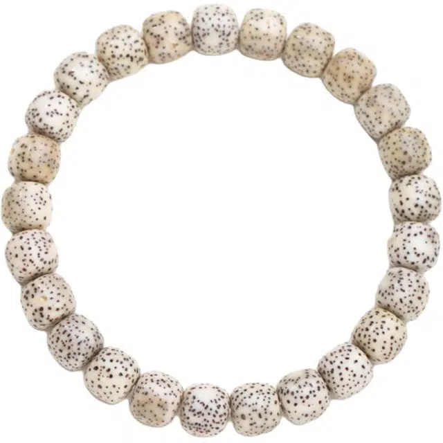 仙源 文玩复兴佛珠盘串念珠转运珠招财纳福 新中式国风小众#好运 礼盒 星月菩提 手串 男女同款情侣款