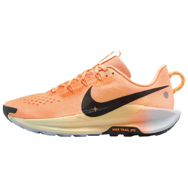 Nike Pegasus Trail 5