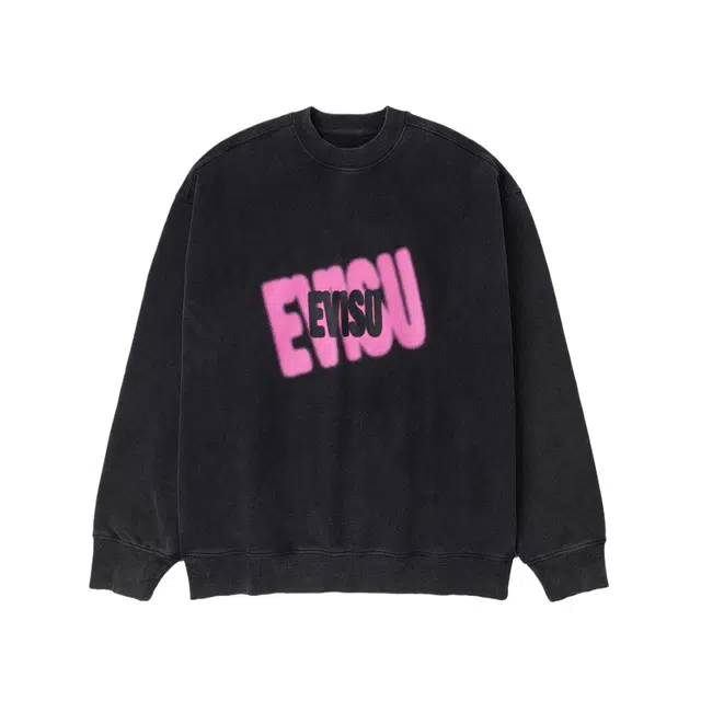 EVISU 2025