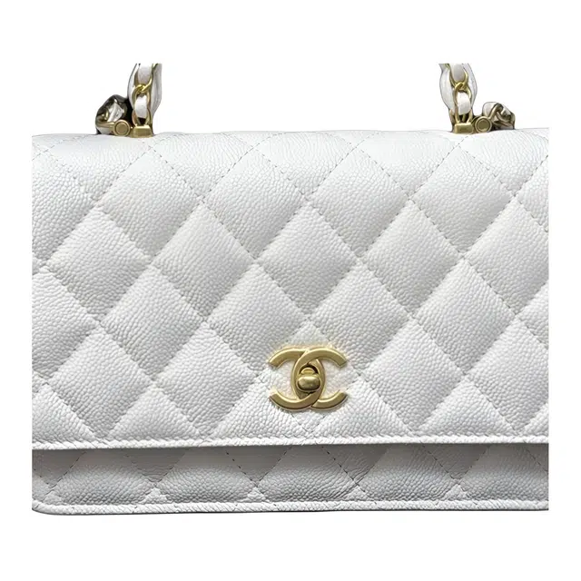 CHANEL WOC 25B