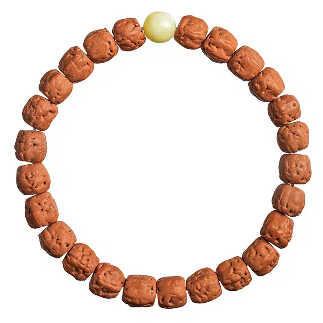 【高品质】 古木匠 八方来财精品国潮玄武纹藏式直切财源广进招财进宝一帆风顺前途似锦鸿运当头#好运 金刚菩提 手串 男女同款情侣款