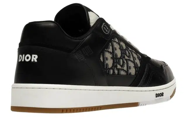 DIOR B27