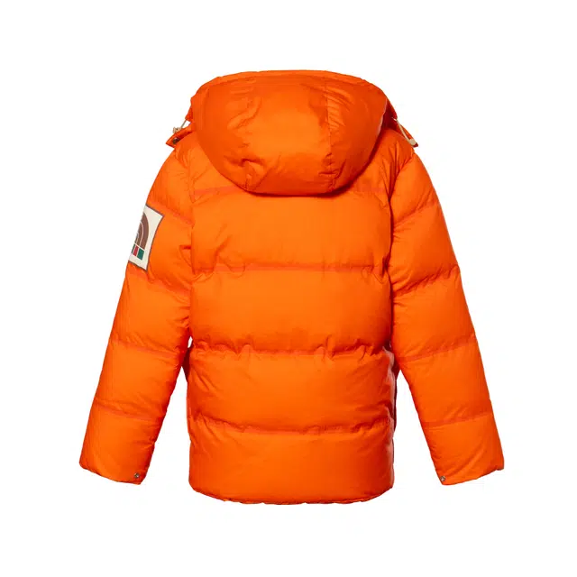 GUCCI x THE NORTH FACE