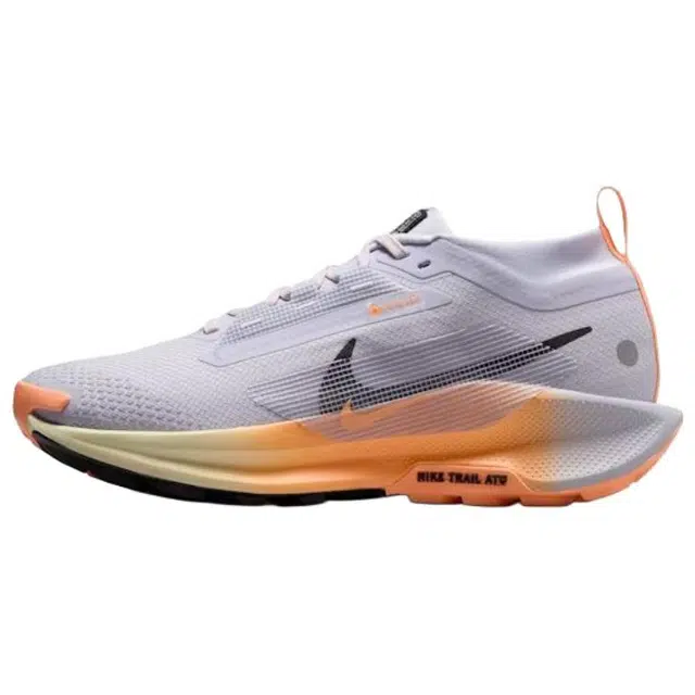Nike Pegasus Trail 5 React