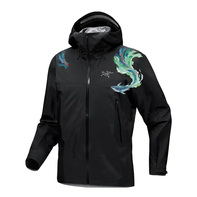 Arcteryx BETA GORE-TEX LOGO