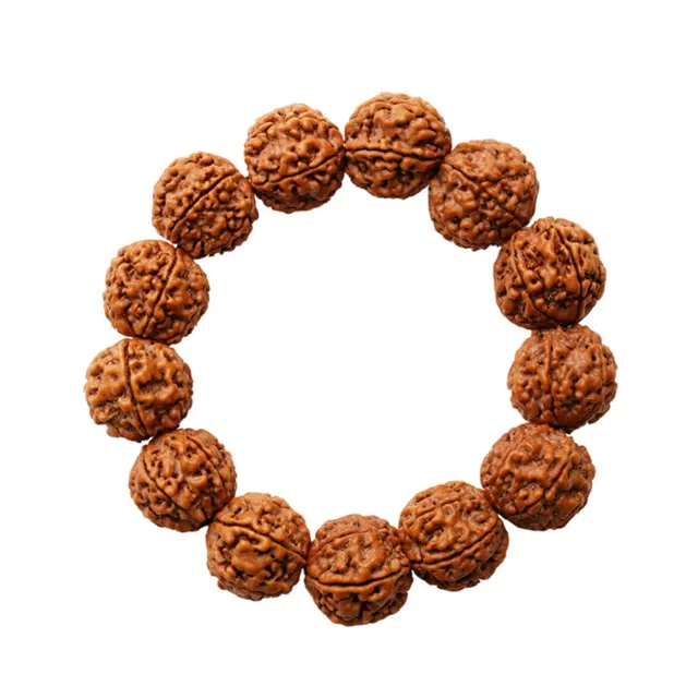 宣华意 收藏级 正宗龙纹盘玩佛珠文玩手持 新中式典雅古风复古韵味高端精品六瓣原籽爆肉好运单圈 金刚菩提 手串 男款