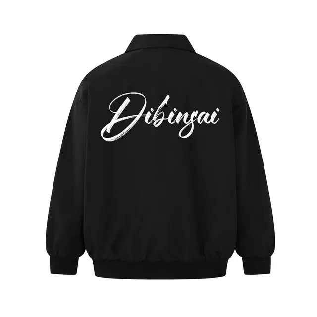 DIBINSAI STUDIO