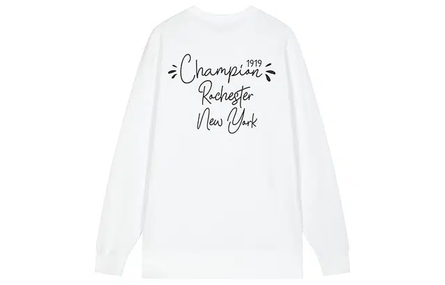 Champion FW25 BASIC