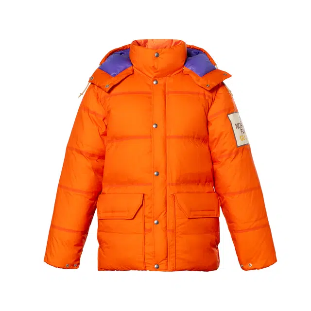 GUCCI x THE NORTH FACE
