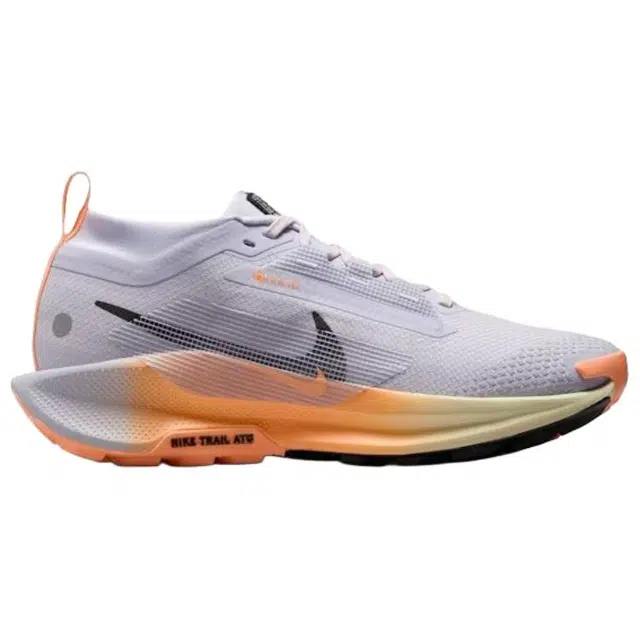 Nike Pegasus Trail 5 React