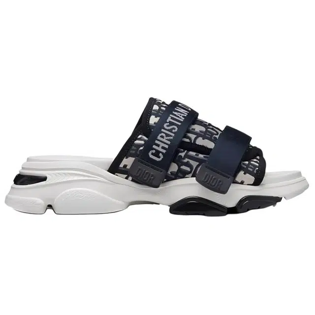DIOR D-Wander