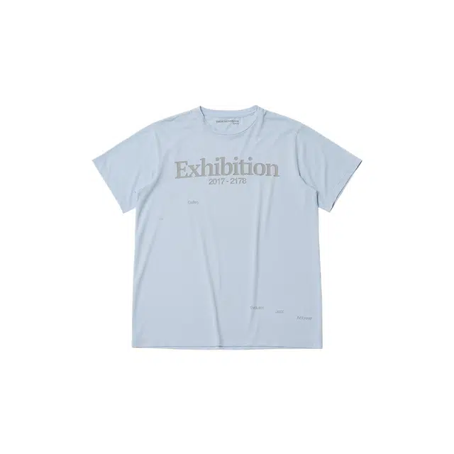 THE MUSEUM VISITOR T