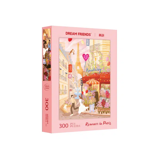 DREAM FRIENDS 300pcs