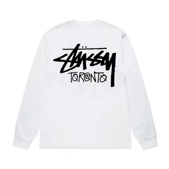 Stussy FW25 logoT