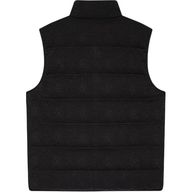 KARL LAGERFELD Logo