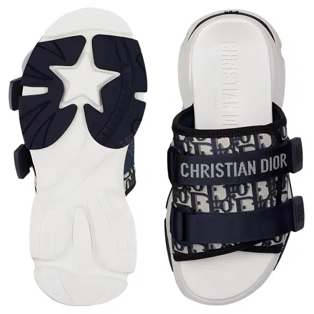 DIOR D-Wander