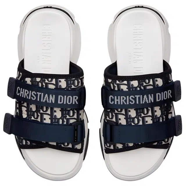 DIOR D-Wander