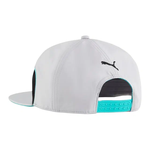 PUMA F1 AMG Cap Gray