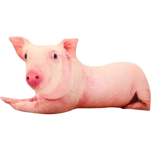 25cm30cm