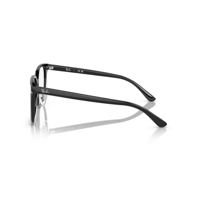 RayBan 5419D