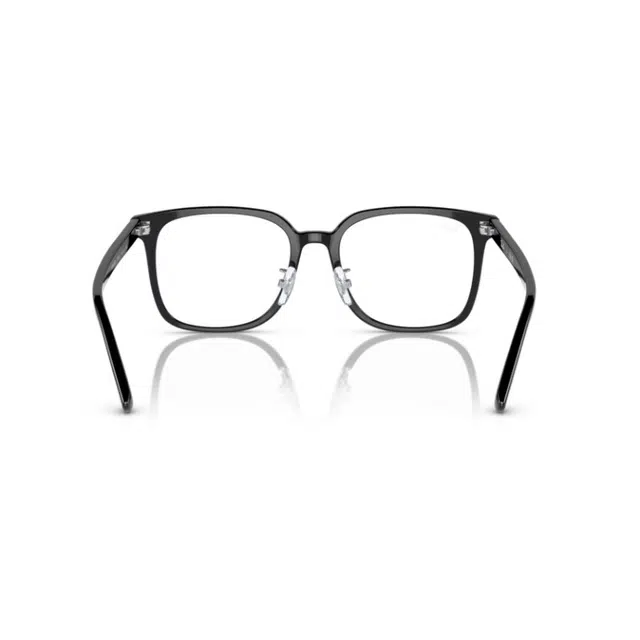 RayBan 5419D