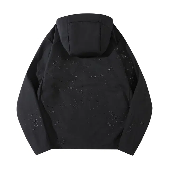 Kawasaki CAP