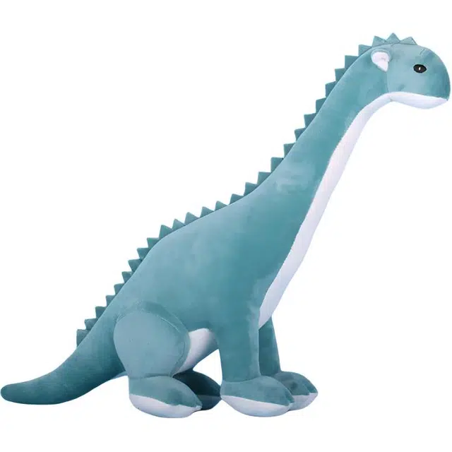 FKOFR 24cm29cm