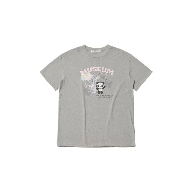 THE MUSEUM VISITOR T