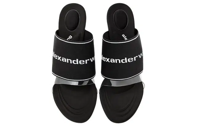 alexander wang Sienna