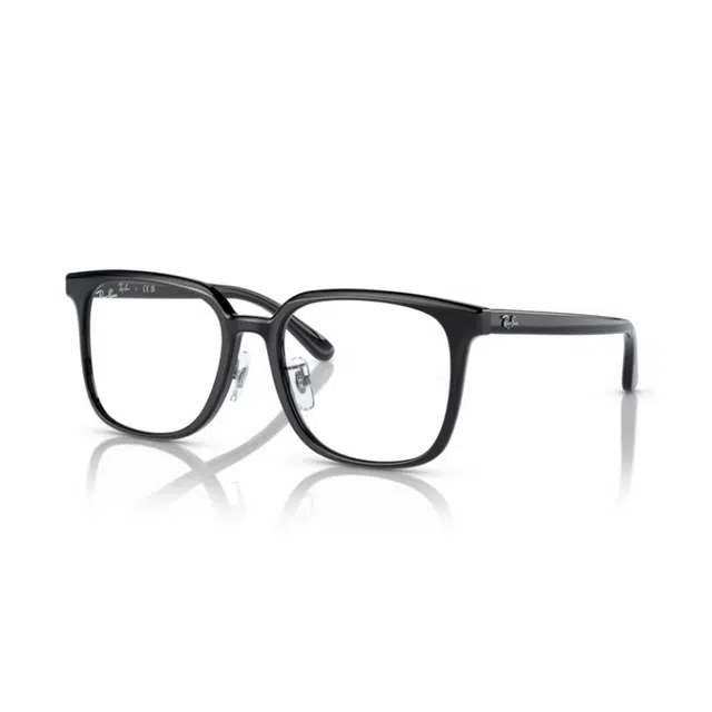 RayBan 5419D