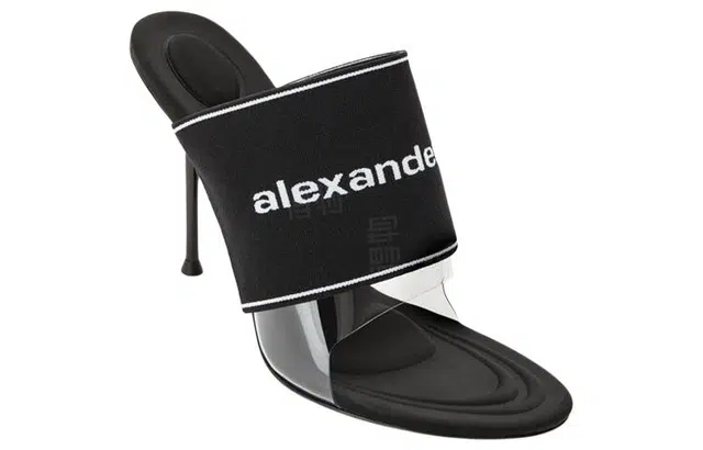 alexander wang Sienna