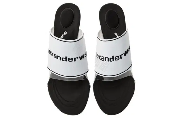 alexander wang
