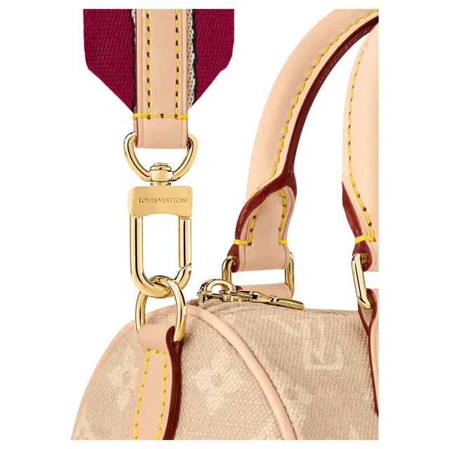 LOUIS VUITTON x Grace Coddington SpeedyCatogram 20 Meowgram