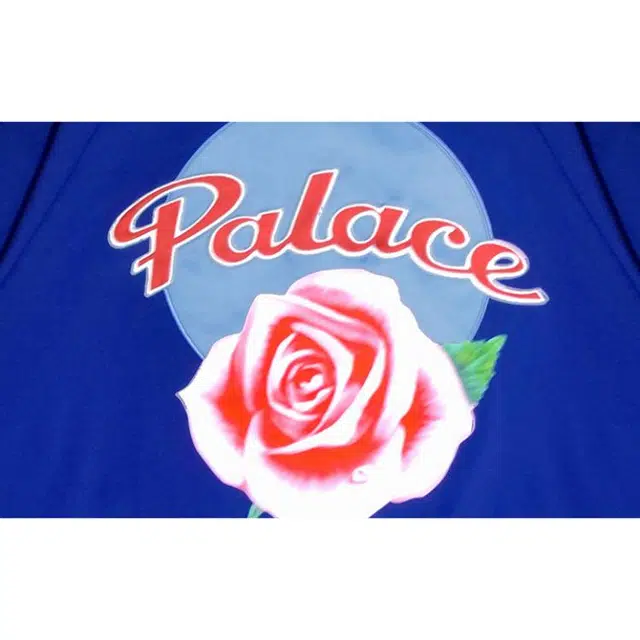 Y-3 x Palace FW22 Logo