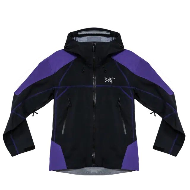 Arcteryx GORE-TEX LOGO