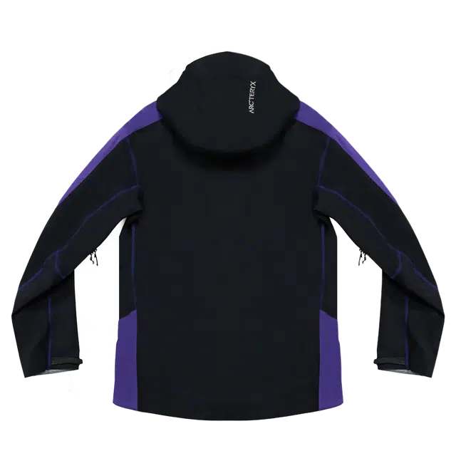 Arcteryx GORE-TEX LOGO