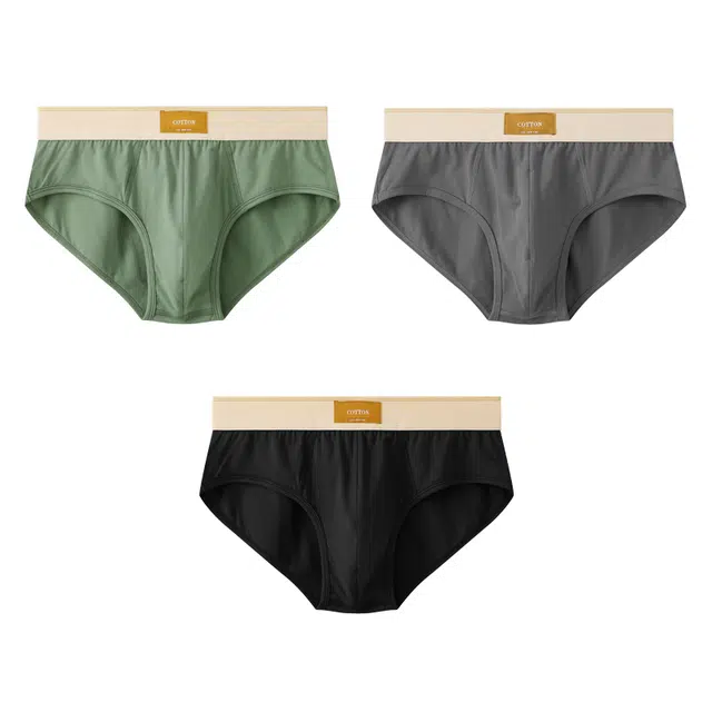 潞优野 高级感纯棉男士性感裤男火辣纯欲男生运动裤衩男式裤头三角内裤 男款