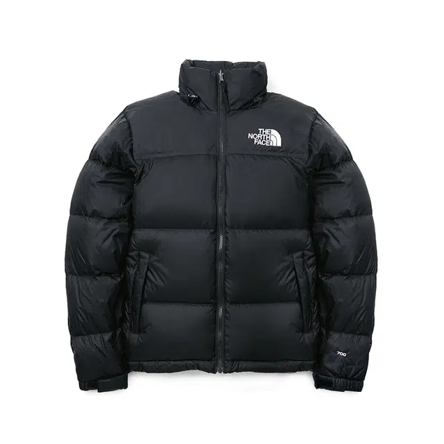 The North Face 1996 Series