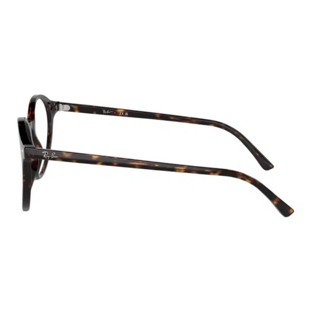 RayBan Logo